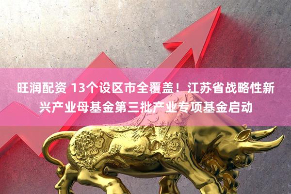 旺润配资 13个设区市全覆盖！江苏省战略性新兴产业母基金第三批产业专项基金启动