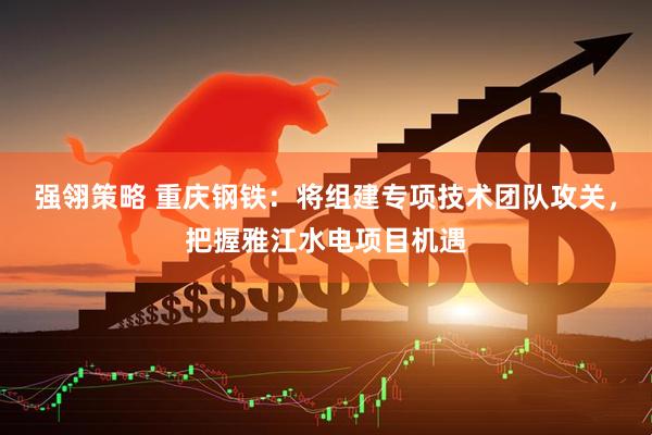 强翎策略 重庆钢铁：将组建专项技术团队攻关，把握雅江水电项目机遇